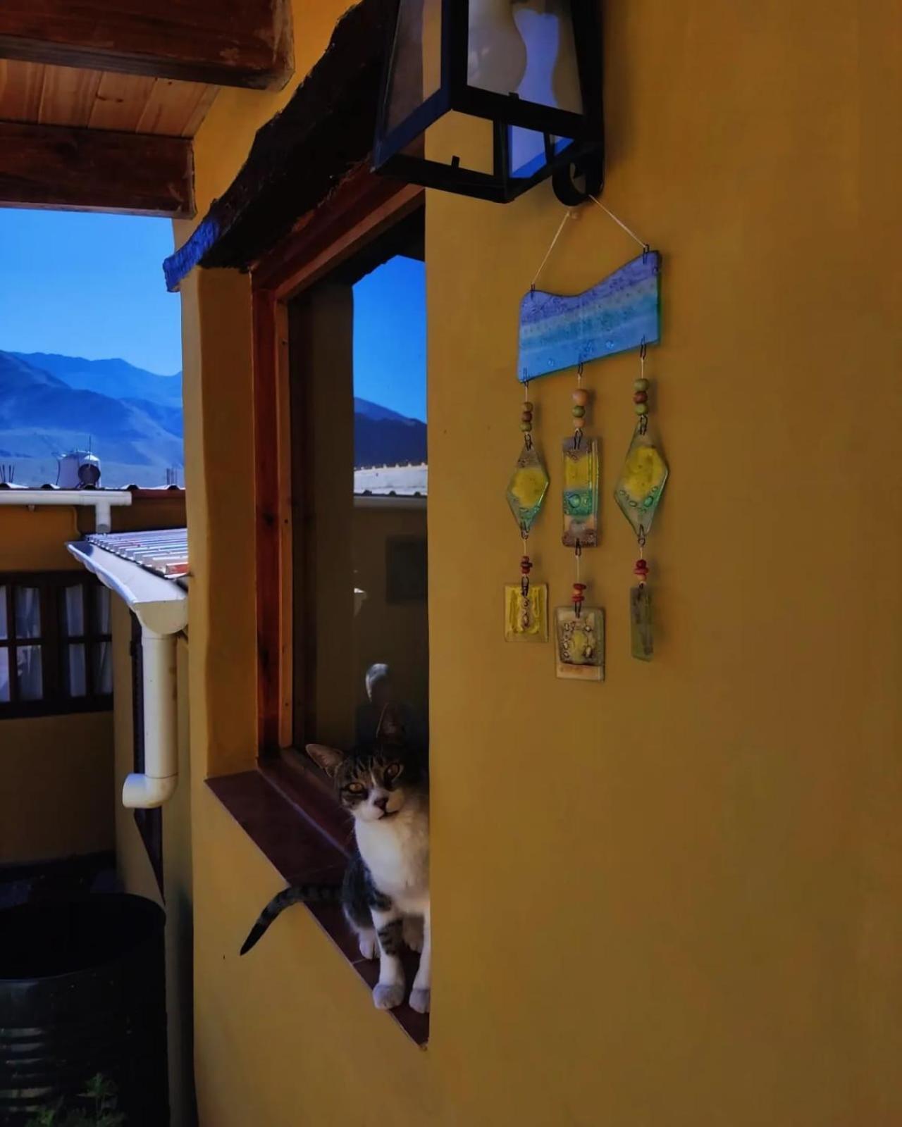 Bed and Breakfast Retama Тилькара Экстерьер фото